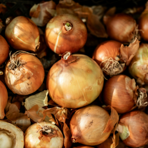 Vidalia Onion